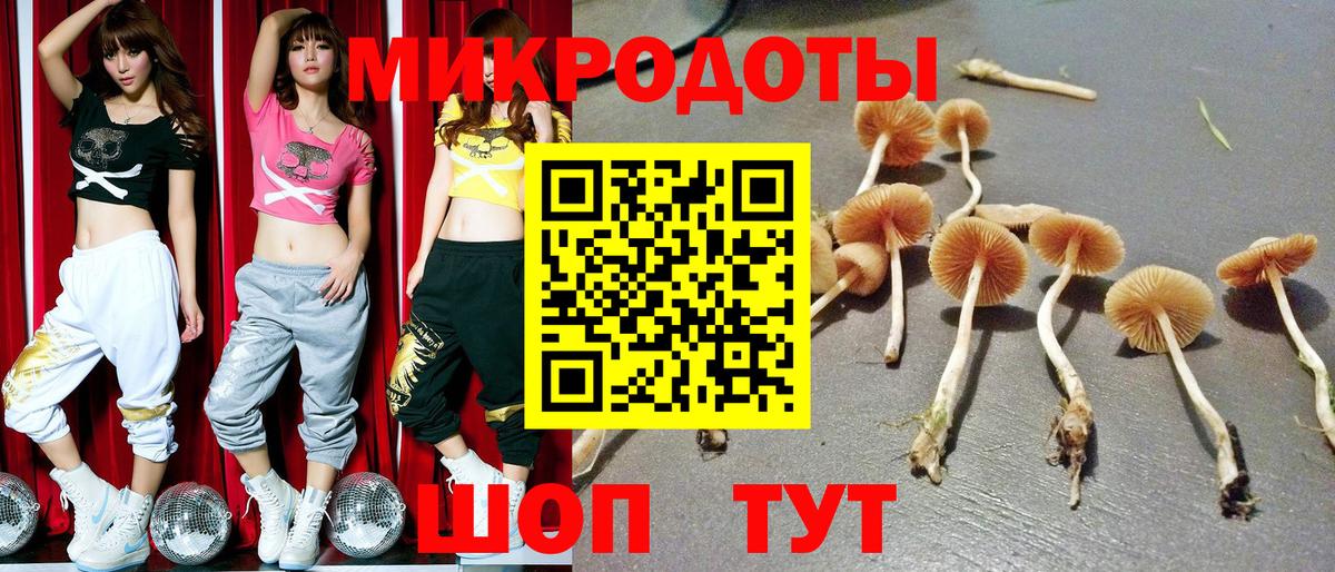 Псилоцибиновые грибы ЛСД  Вход с VPN  Серпухов 